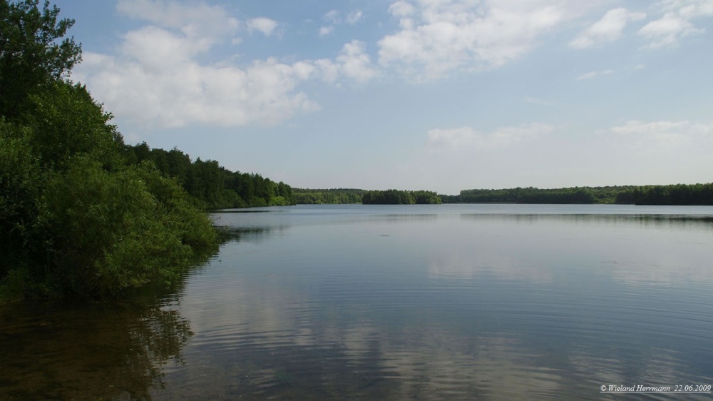 Schwarze Heide